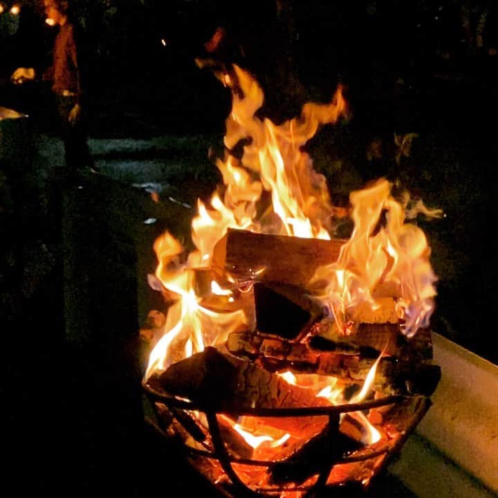 鴨志田由貴のグルメインスタ