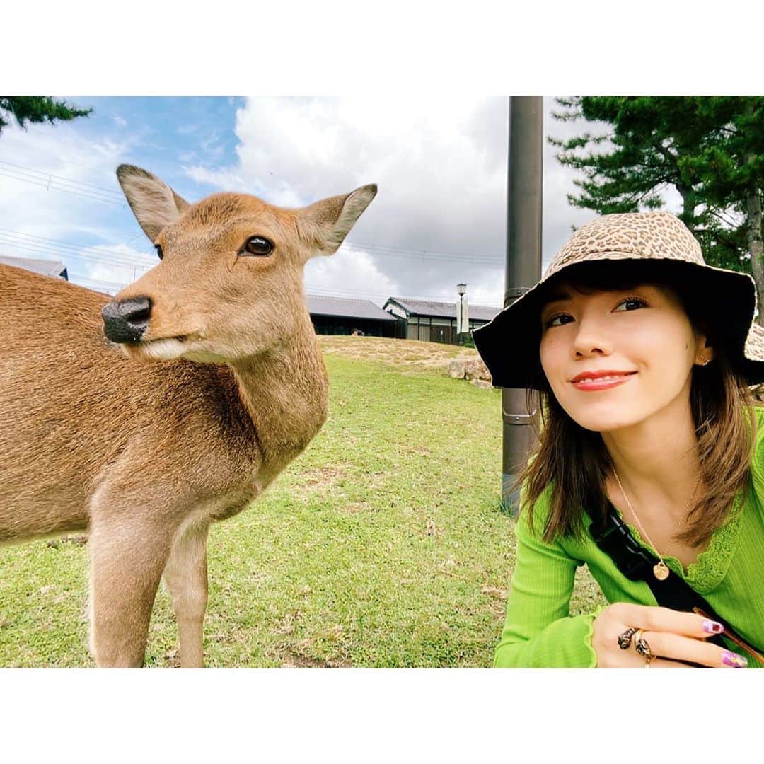 仲里依紗のインスタグラム：「息子と2人旅❤️ 京都と奈良に行きました🥰 人力車に乗ったり 鹿に会ったり おみくじ引いたり すっかり大きくなった息子❤️ 母ちゃんとっても幸せでした❤️ ありがとう❤️ . . #新幹線出発し東京へ戻るとき #携帯を京都駅のトイレに忘れたことに気づき #また京都駅へ戻る羽目に😱笑 #ごめんねごめんね言う #そんなすっとボケ母ちゃんに #優しく息子は #大丈夫だよ #ママはそのままで良いからねって #優しすぎませんか？ #これぞ本物の天使 #心の中でそっと泣きました笑」