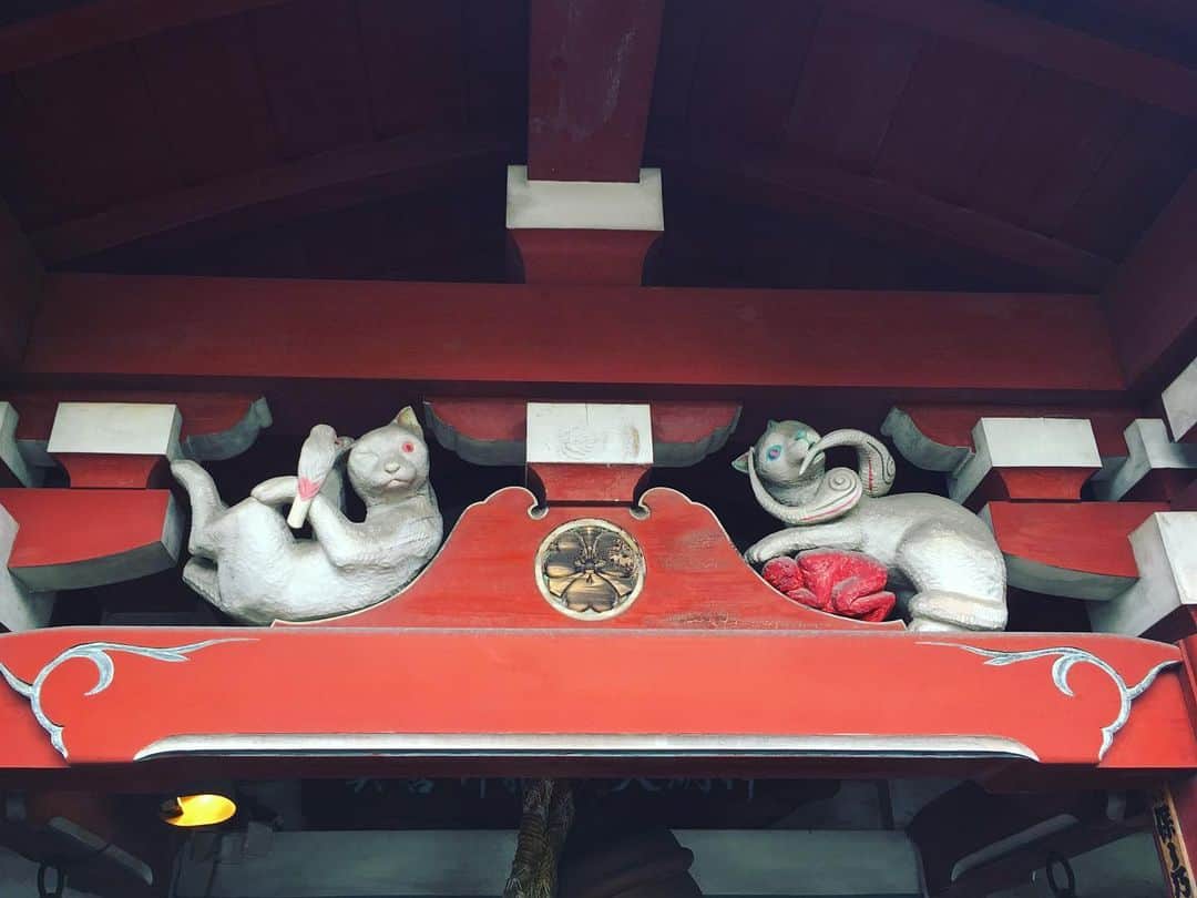 ミツバ&フックのインスタグラム：「赤坂とらやの隣、美喜井稲荷には猫さまが鎮座しております  #ilovecat」