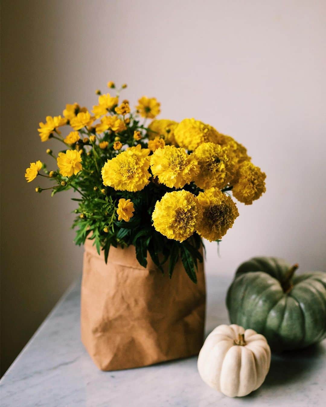 のインスタグラム：「Marigold flower💛 #marigold #showroom #fashionevent #press #flowedecolation #pumpkin #fasionpresentation MACKINTOSH LONDON 春夏展示会が始まりました。今回も装花を担当させていただいています。 メインのコーナーには大きな枝もの数点を配置、シンプルで洗練された空間を演出させていただきました。 #白い紫陽花 #マリーゴールド #マッキントッシュロンドン」