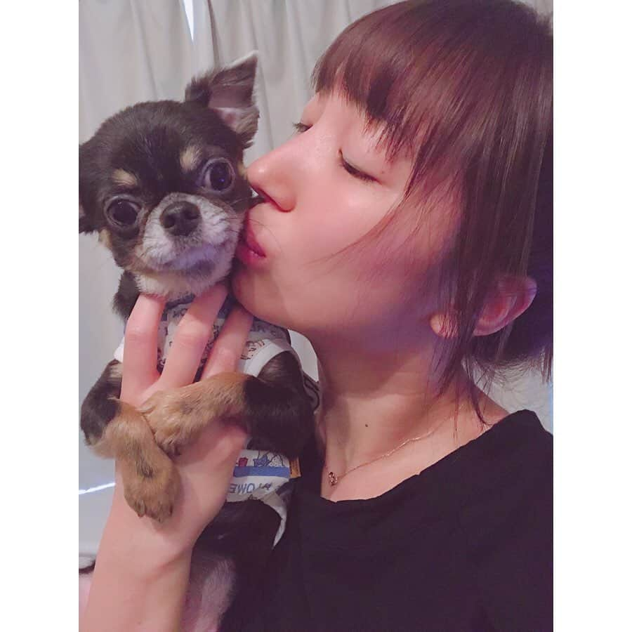 有明ゆなさんのインスタグラム写真 - (有明ゆなInstagram)「おやすみ🌙じゅりさん♡ . . . .  #愛犬 #愛犬🐶 #愛犬家 #愛犬との暮らし #ちわわん #ちわわ部 #ちわわ #ちわすたぐらむ #ちわわ親バカ部 #ちわわ大好き #チワワちゃん #チワスタグラム #チワワ #チワワ部 #チワワラブ #チワワ画像 #チワワ大好き #dog #dogstgram #dogstagram」10月23日 1時38分 - ariake_yuna