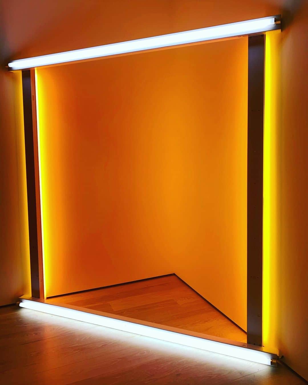 マリア・シャラポワのインスタグラム：「Dan Flavin @themuseumofmodernart」