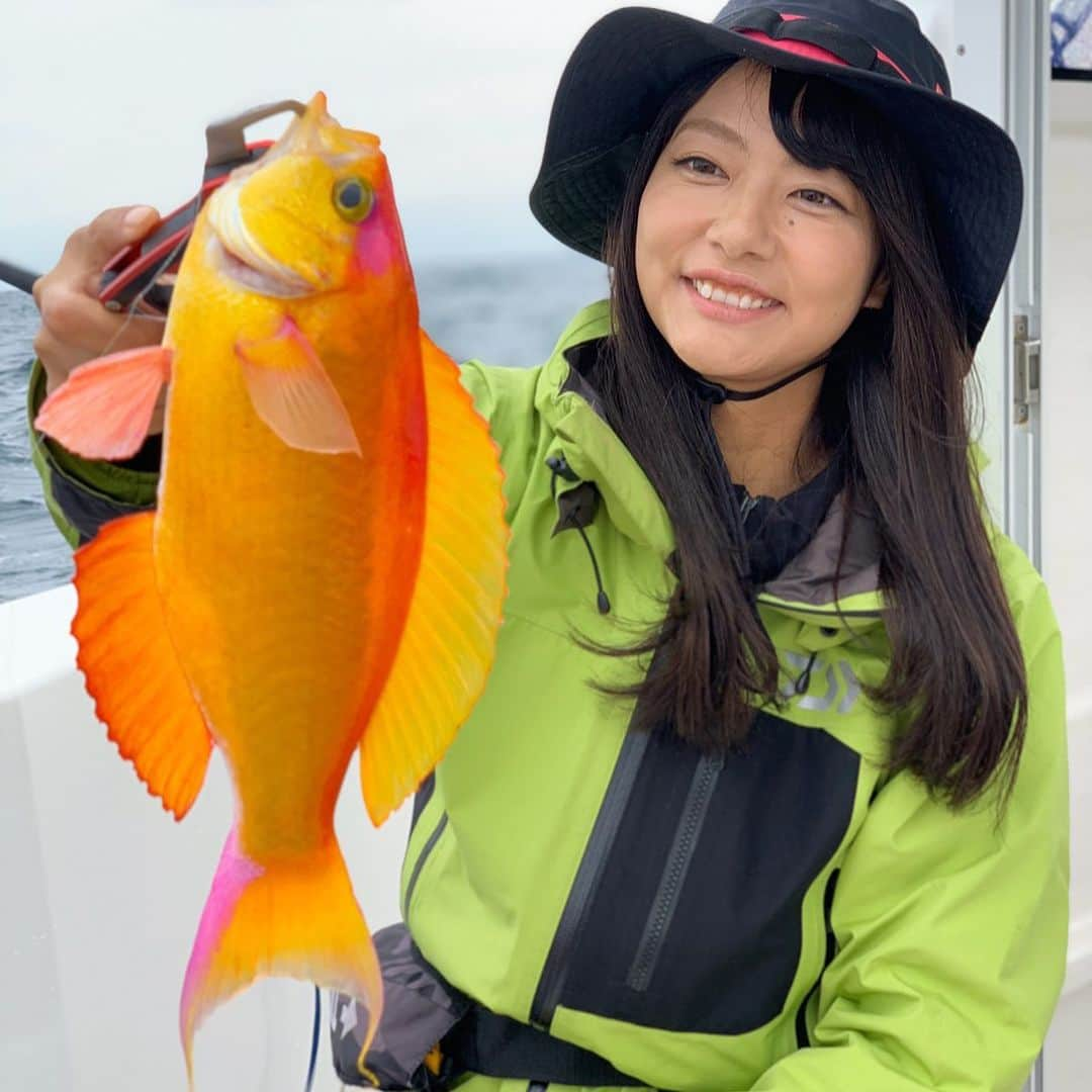 晴山由梨さんのインスタグラム写真 - (晴山由梨Instagram)「綺麗な魚が釣れた😍 初めましてのシキシマハナダイ💐  #相模湾 #ヤマハマリン #シースタイル #ボートフィッシング #湘南サニーサイドマリーナ #アマダイ釣り #シキシマハナダイ #晴山由梨 #fish #fishing #daiwa #lovefishing  #fishinglife #fishingdaily #angler #fishingphotography #boatfishing #sea」10月23日 15時51分 - hareyama_yuri