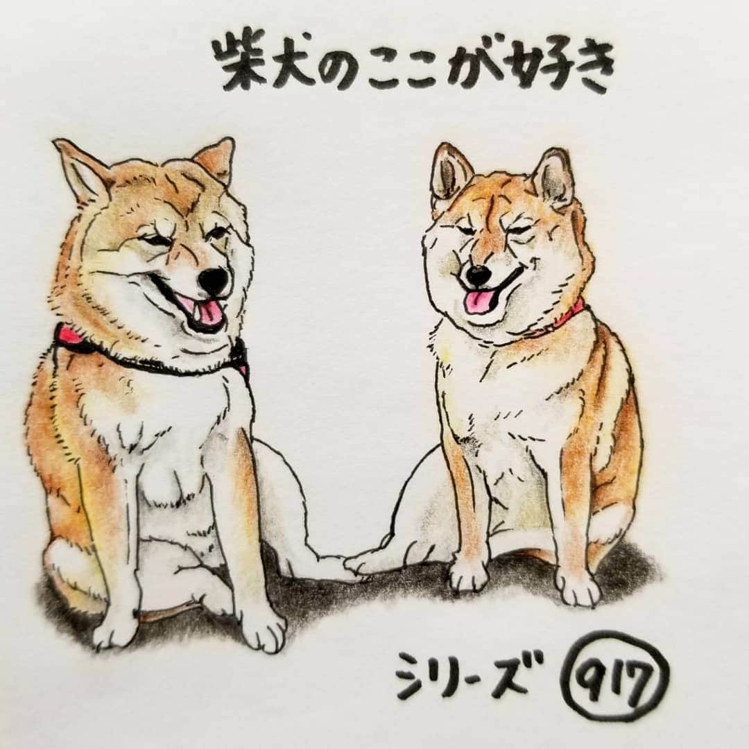 ハナとソラさんのインスタグラム写真 - (ハナとソラInstagram)「* #ここ柴部 『柴犬のここが好きシリーズ917』 親戚柴さんはどこか似てるとこがあるとこ。 座り方が同じだったりする。  座り方も遺伝なのかな ※イラストに描く際に近づきすぎてしまいました。本当は足は踏んでいません。 * No.917 “I sit down like my aunt.” * モデルは @nrk_momo さんとこのももちゃんと、ももちゃんの叔母の空ちゃんです💕 #柴犬のここが好き #favoritepartsofshibainu #illustration #dogart #drowing #shibastagram #shibainu #colorpencil #柴犬 #イラスト #しばすたぐらむ #いらすとぐらむ #色鉛筆 #親戚 柴公园插图」10月23日 16時12分 - nsdikm_hanasora