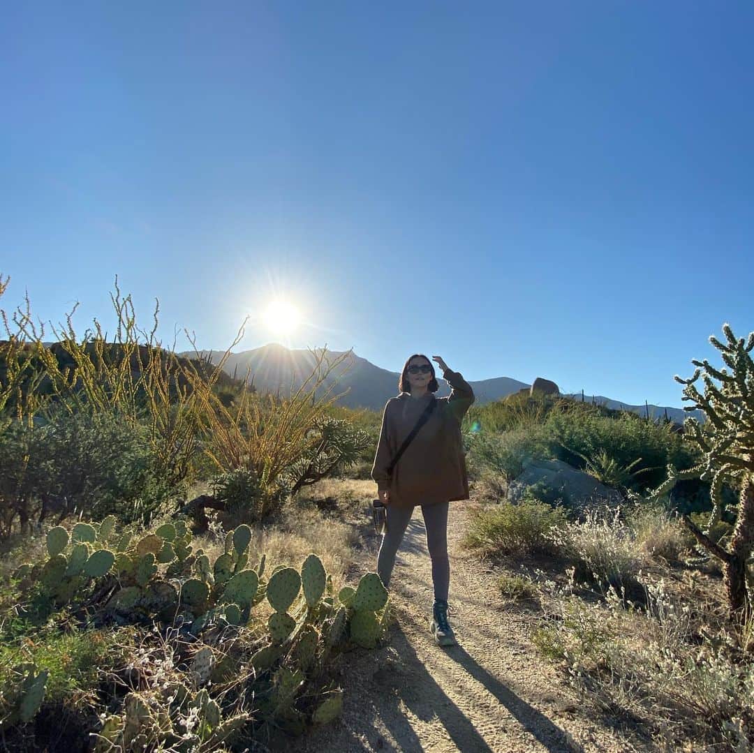 HiRAO INCのインスタグラム：「. Sonora Desert Hike Arizona  アリゾナからカリフォルニアの南、そして北メキシコまで広がるソノラ砂漠。  日出に前に出発して砂漠を歩く二時間のハイクは、ソノラ砂漠でしか見られない巨大なサボテン"Saguaro"や.ウチワサボテン、野生のラベンダーの林を抜けていきます。  親指くらいの大きさの鳥で、蜂のように高速で羽を動かし、花から花へと瞬時に移動する　Humming birdの歌声がBGM。  ウチワサボテンの花からとった蜜でつくるレモネードはピンク色でとてもきれい。」