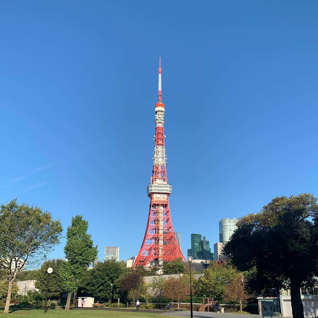 くろさんのインスタグラム写真 - (くろInstagram)「たわ！ #🗼 #tokyotower #東京タワー #芝公園 #増上寺 #zojoji #shibapark #tokyo_instagram #blueskyblue #青空と東京タワー #東京タワー派」10月23日 7時51分 - m6bmw