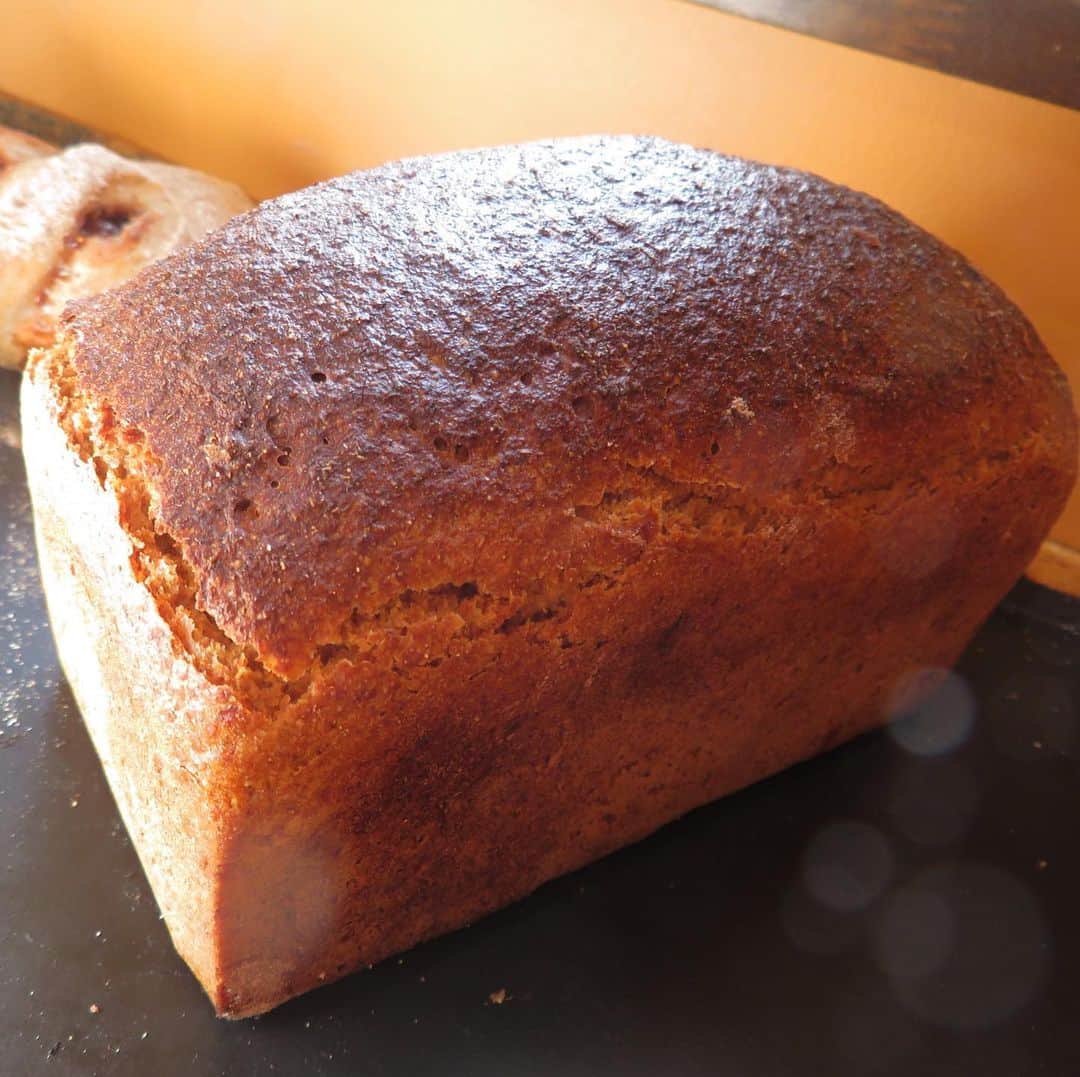 魔女菅原のグルメインスタ