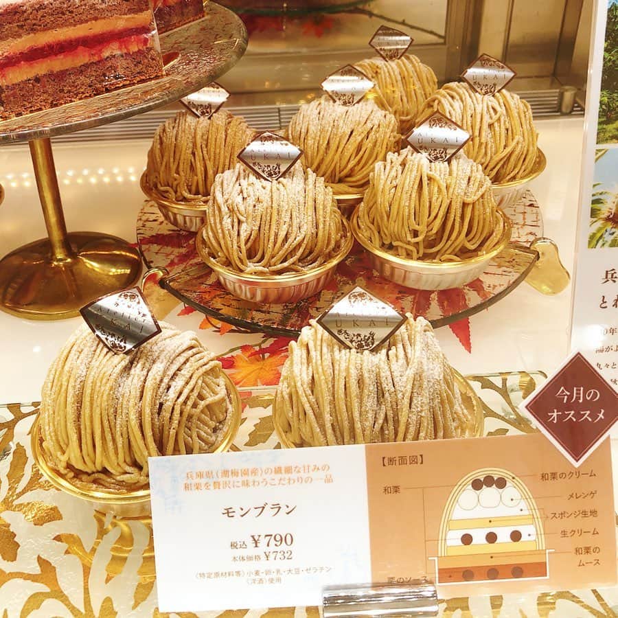 里井真由美さんのインスタグラム写真 - (里井真由美Instagram)「🇯🇵🌰 兵庫県産 新栗のモンブラン♪ ・ ・ スプーンで食べましょ〜😆🌰♥️下はとろける栗ムースです。搾りたて上品な和栗クリームと中にメレンゲのカケラが入ってて心地よい食感♡ ・ ・ 季節も時間も限定販売。「アトリエうかい」さんの贅沢モンブランです🌰 ・ ・ #アトリエうかい#贅沢モンブラン#新栗#atelierukai  #モンブラン#モンブラン巡り#和栗#和栗のモンブラン#栗#フランス栗#里井真由美#1級フードアナリスト里井真由美#さといいね#栗スイーツ#デパ地下#ホテルスイーツ#デパ地下スイーツ#ホテル#ありが糖運動#まゆログ」10月23日 11時06分 - mayumi.satoi