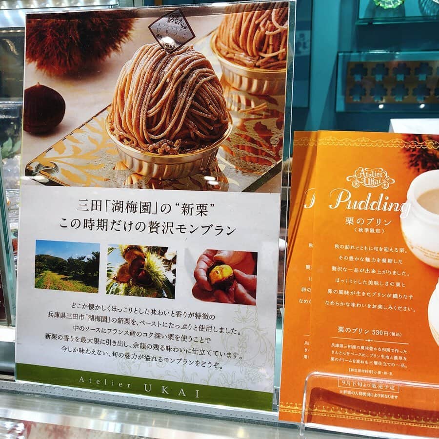里井真由美さんのインスタグラム写真 - (里井真由美Instagram)「🇯🇵🌰 兵庫県産 新栗のモンブラン♪ ・ ・ スプーンで食べましょ〜😆🌰♥️下はとろける栗ムースです。搾りたて上品な和栗クリームと中にメレンゲのカケラが入ってて心地よい食感♡ ・ ・ 季節も時間も限定販売。「アトリエうかい」さんの贅沢モンブランです🌰 ・ ・ #アトリエうかい#贅沢モンブラン#新栗#atelierukai  #モンブラン#モンブラン巡り#和栗#和栗のモンブラン#栗#フランス栗#里井真由美#1級フードアナリスト里井真由美#さといいね#栗スイーツ#デパ地下#ホテルスイーツ#デパ地下スイーツ#ホテル#ありが糖運動#まゆログ」10月23日 11時06分 - mayumi.satoi