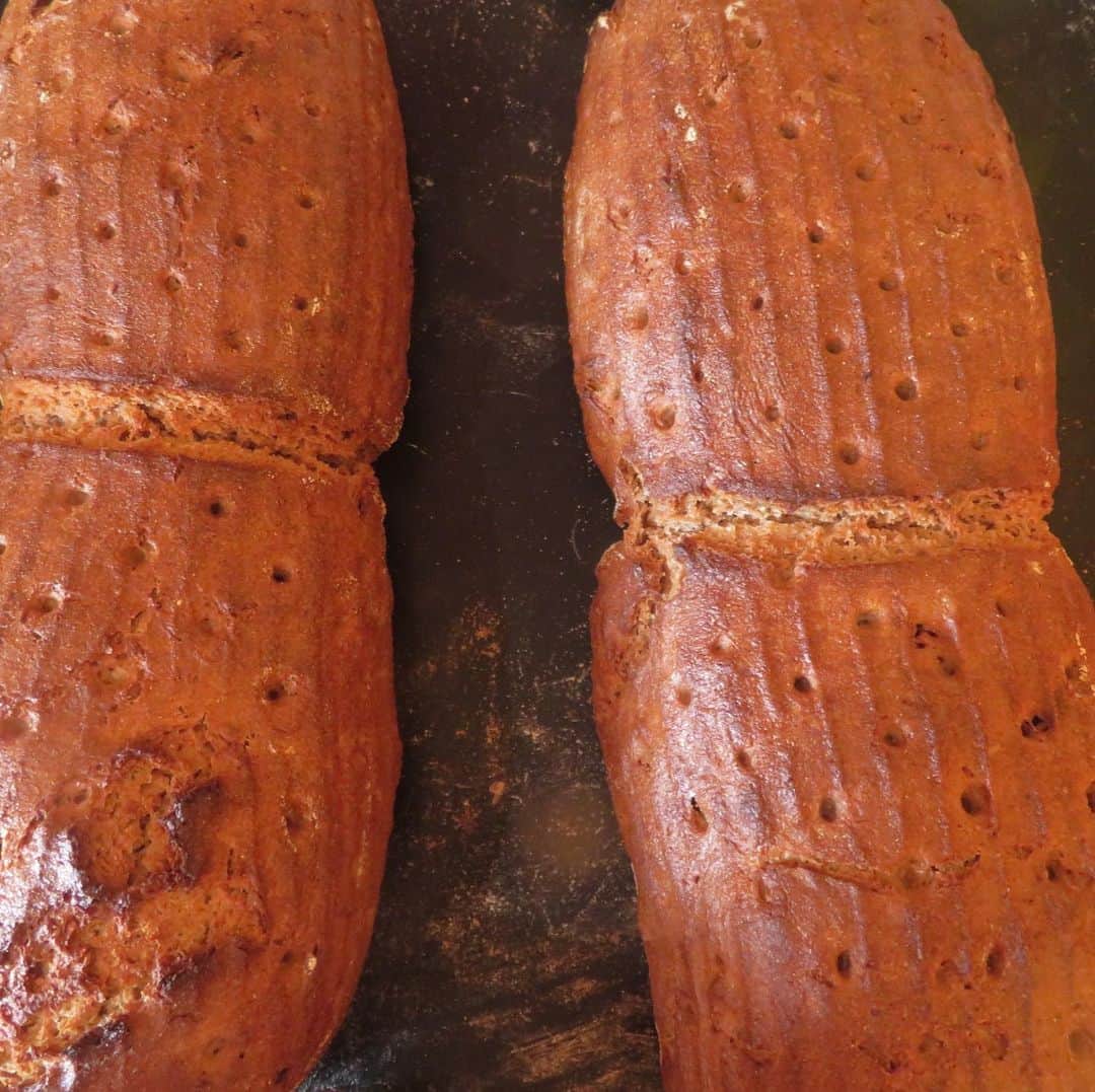 魔女菅原のグルメインスタ