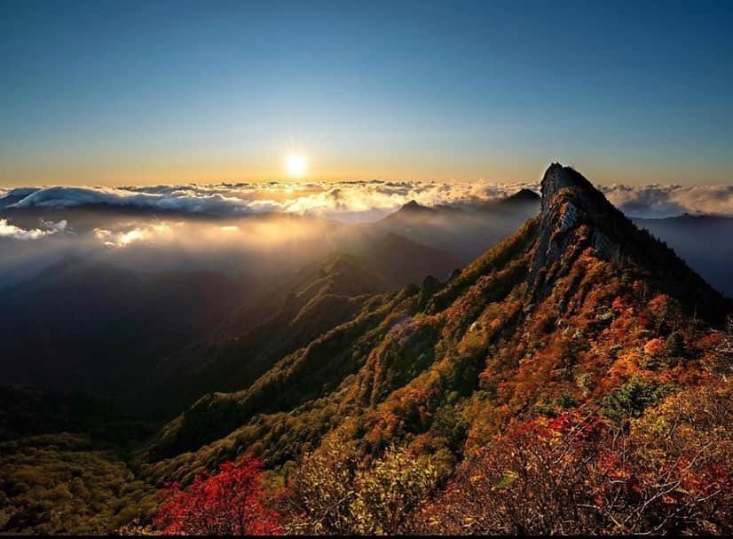 はなまっぷ❁日本の花風景さんのインスタグラム写真 - (はなまっぷ❁日本の花風景Instagram)「🍂🍁はなまっぷの紅葉まつり🍁🍂 * @takupocho さんの 紅葉に花まるを💮 * 色とりどりに染まる美しい日本の秋をありがとうございます😊🍁🍂 * 愛媛　#石鎚山 Mt.Ishizuchi, Ehime Pref. * 見頃を過ぎている場所もご紹介しています。 お出かけの際はHP等で最新の情報をご確認くださいね🙏🍁 * 🍁•••🍂•••🍁•••🍂•••🍁•••🍂 * 🍂🍁はなまっぷの紅葉まつり🍁🍂 〜紅葉の季節が終わる頃まで #はなまっぷ  のタグの中から、紅葉のお写真をご紹介させていただきます。期間中はランダムに、複数枚投稿でもご紹介させていただく場合がございます。 * #秋#紅葉#風景」10月23日 12時40分 - hanamap