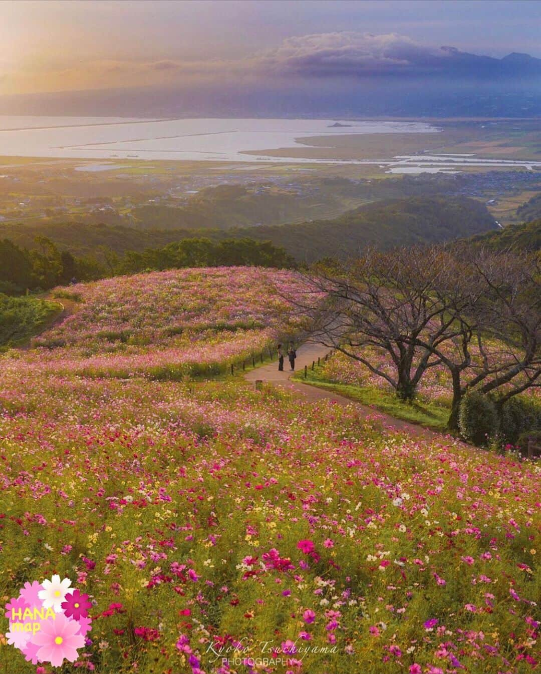 はなまっぷ❁日本の花風景さんのインスタグラム写真 - (はなまっぷ❁日本の花風景Instagram)「🌼🌸はなまっぷの秋桜まつり🌸🌼 *  @ichijikupai さんの 秋桜に花まるを💮 * 雨にも負けず風にも負けず可憐でひたむきな秋桜をありがとうございます😊🌸 * 長崎　#白木峰高原 Isahaya, Nagasaki Pref. * 🌼コスモスの花言葉🌼 乙女の真心、調和 * 🌸•••🌼•••🌸•••🌼•••🌸•••🌼•••🌸 * 🌼🌸はなまっぷの秋桜まつり🌸🌼 〜10/31頃まで #はなまっぷ  のタグの中から、秋桜のお写真をご紹介させていただきます。期間中はランダムに、複数枚投稿でもご紹介させていただく場合がございます。 * #秋#秋桜#コスモス#花#花畑 * 🌸•••🌼•••🌸•••🌼•••🌸•••🌼•••🌸 *」10月23日 12時44分 - hanamap