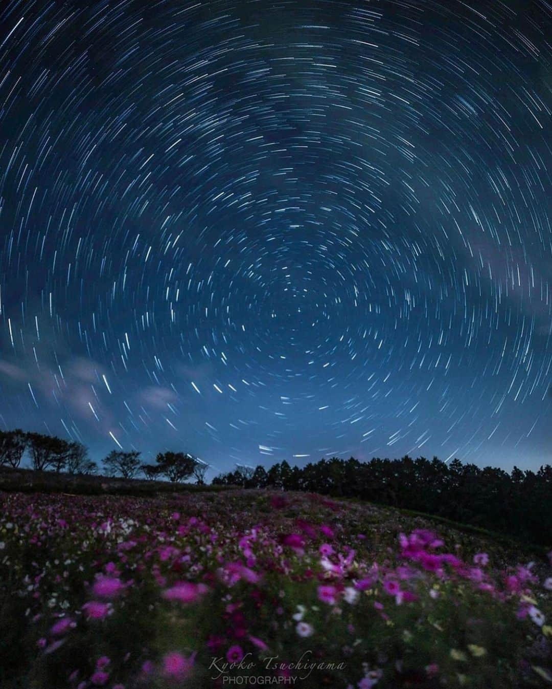 はなまっぷ❁日本の花風景さんのインスタグラム写真 - (はなまっぷ❁日本の花風景Instagram)「🌼🌸はなまっぷの秋桜まつり🌸🌼 *  @ichijikupai さんの 秋桜に花まるを💮 * 雨にも負けず風にも負けず可憐でひたむきな秋桜をありがとうございます😊🌸 * 長崎　#白木峰高原 Isahaya, Nagasaki Pref. * 🌼コスモスの花言葉🌼 乙女の真心、調和 * 🌸•••🌼•••🌸•••🌼•••🌸•••🌼•••🌸 * 🌼🌸はなまっぷの秋桜まつり🌸🌼 〜10/31頃まで #はなまっぷ  のタグの中から、秋桜のお写真をご紹介させていただきます。期間中はランダムに、複数枚投稿でもご紹介させていただく場合がございます。 * #秋#秋桜#コスモス#花#花畑 * 🌸•••🌼•••🌸•••🌼•••🌸•••🌼•••🌸 *」10月23日 12時44分 - hanamap