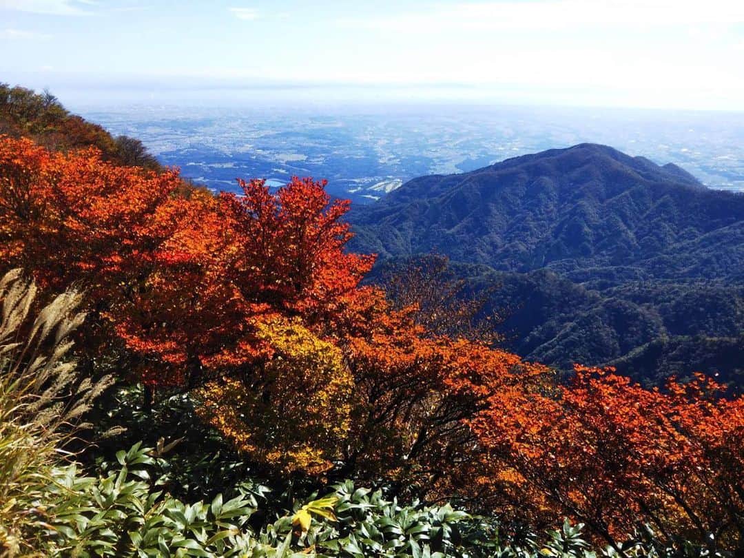 湯の山温泉 寿亭|Ryokan KOTOBUKITEIさんのインスタグラム写真 - (湯の山温泉 寿亭|Ryokan KOTOBUKITEIInstagram)「･ #御在所岳 、 山頂から少しずつ#紅葉 が色づいてきております🍁 こちらの写真は本日、10月23日の山頂の様子です！ #御在所ロープウェイ さんよりお写真をいただきました🙇‍♀️💗 ･ 是非、#御在所ロープウェイ 、 そして#寿亭 へとお越しくださいませ。 お待ちしております。 ･ #三重#湯の山#湯の山温泉#温泉##温泉好き#温泉旅行#旅行#温泉旅館#三重旅#三重旅行#女子旅#インスタ映え#寿亭#旅館寿亭#御在所岳#御在所岳ロープウェイ#温泉女子#秋 #mie#japan#yunoyamaonsen#onsen#ryokan#ryokanlife#visitmie#travel#happy」10月23日 13時30分 - kotobukitei_ryokan