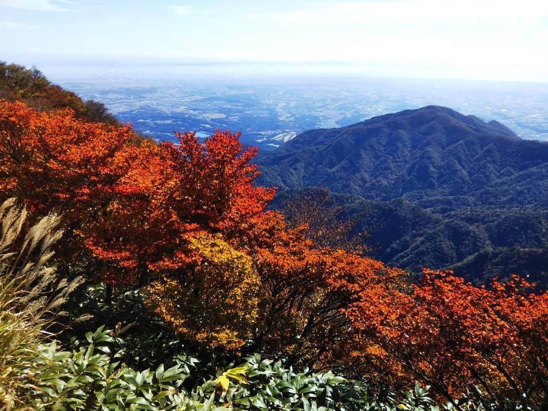 湯の山温泉 寿亭|Ryokan KOTOBUKITEIのインスタグラム