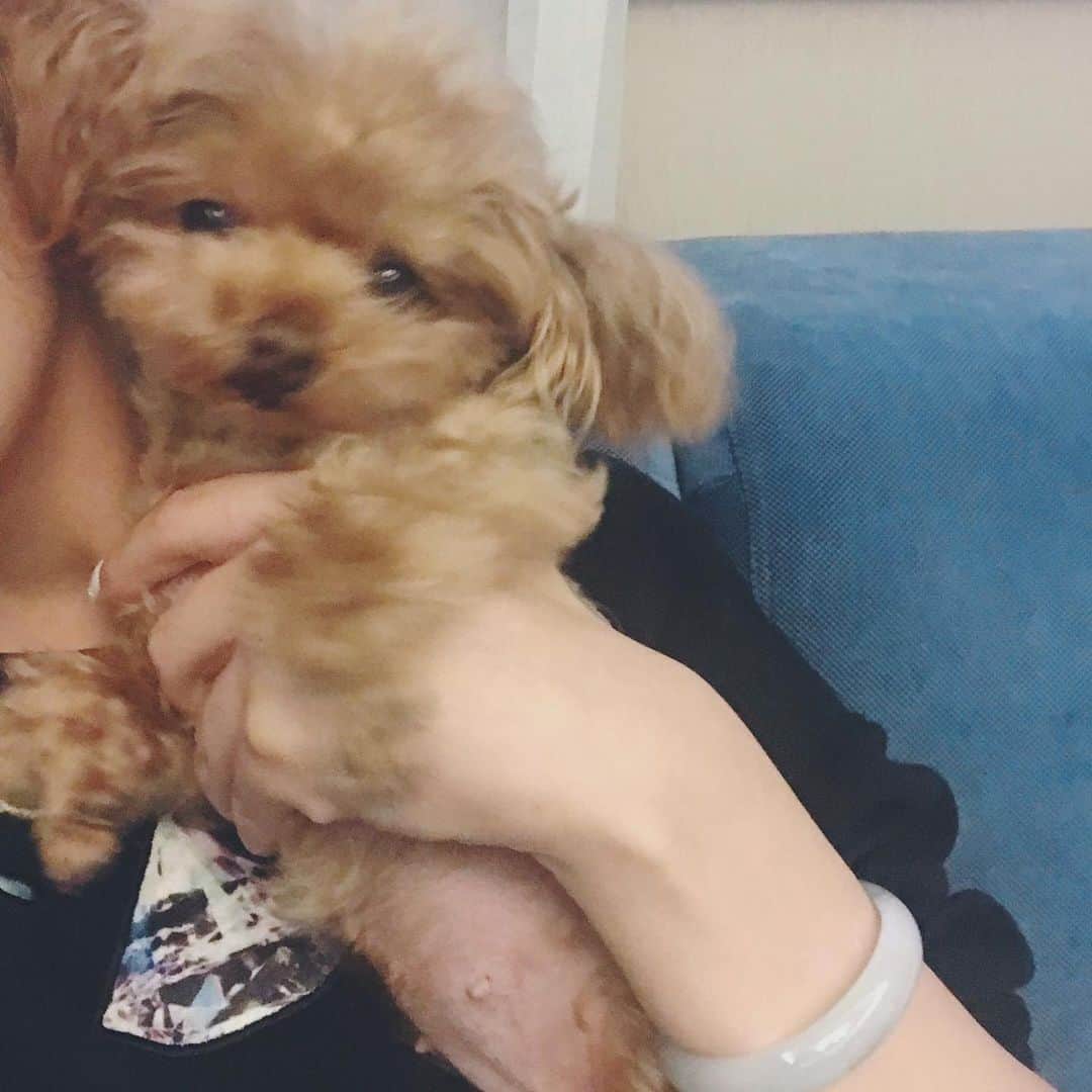 ローラ・チャンのインスタグラム