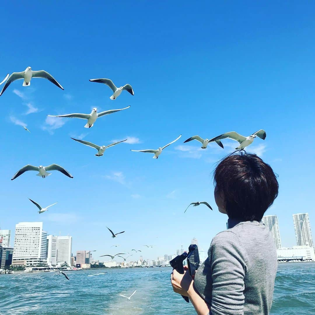 TOKYO WATER TAXIさんのインスタグラム写真 - (TOKYO WATER TAXIInstagram)「ゆりかもめ。 真っ白な水鳥に囲まれる 夢のような体験🎶 青空の東京で。  #blackheadedgull  #tokyo #bluesky #watertaxi #tokyowatertaxi #sightseeing  #attraction  #nature #tamachi #hi_node  #beside_seaside #hotelgracery_tamachi」10月24日 0時37分 - tokyowatertaxi