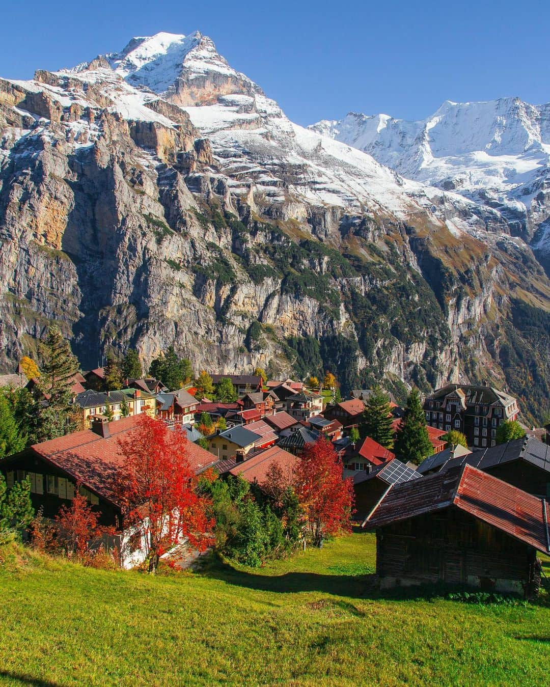 Hatice Korkmaz The Color Queenさんのインスタグラム写真 - (Hatice Korkmaz The Color QueenInstagram)「Car-free village Mürren😍🍁🍂🧡 @murrengimmelwald i am so happy that i have a chance to visit again all these cute villages this time in autumn colours #murren #jungfrauregion #switzerland #nature #autumn #love #colors」10月24日 0時45分 - kardinalmelon