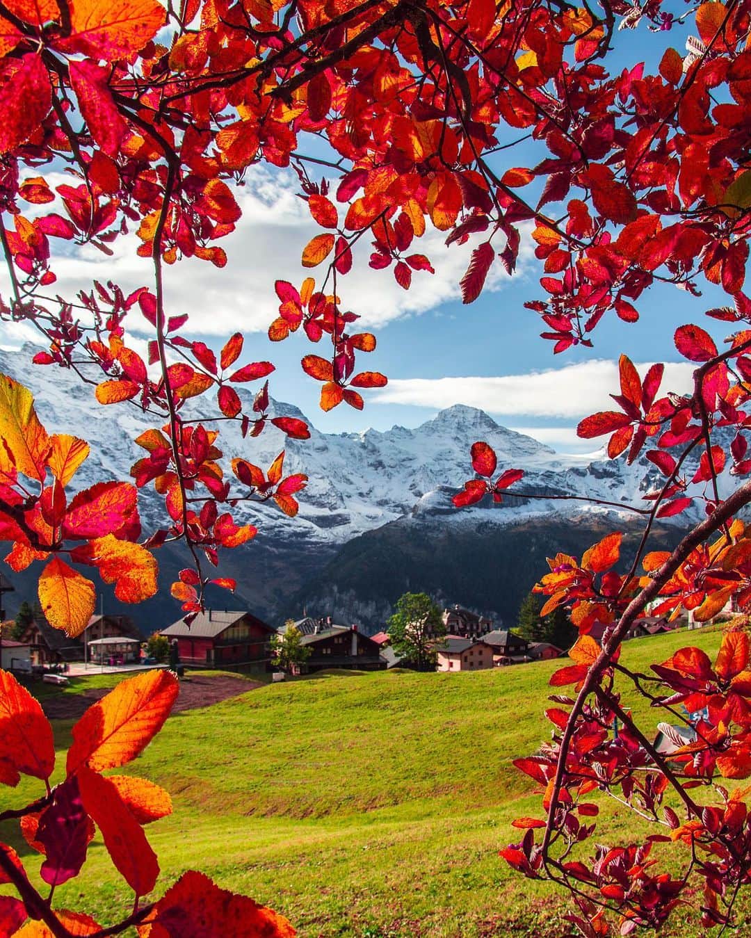 Hatice Korkmaz The Color Queenのインスタグラム：「Car-free village Mürren😍🍁🍂🧡 @murrengimmelwald i am so happy that i have a chance to visit again all these cute villages this time in autumn colours #murren #jungfrauregion #switzerland #nature #autumn #love #colors」