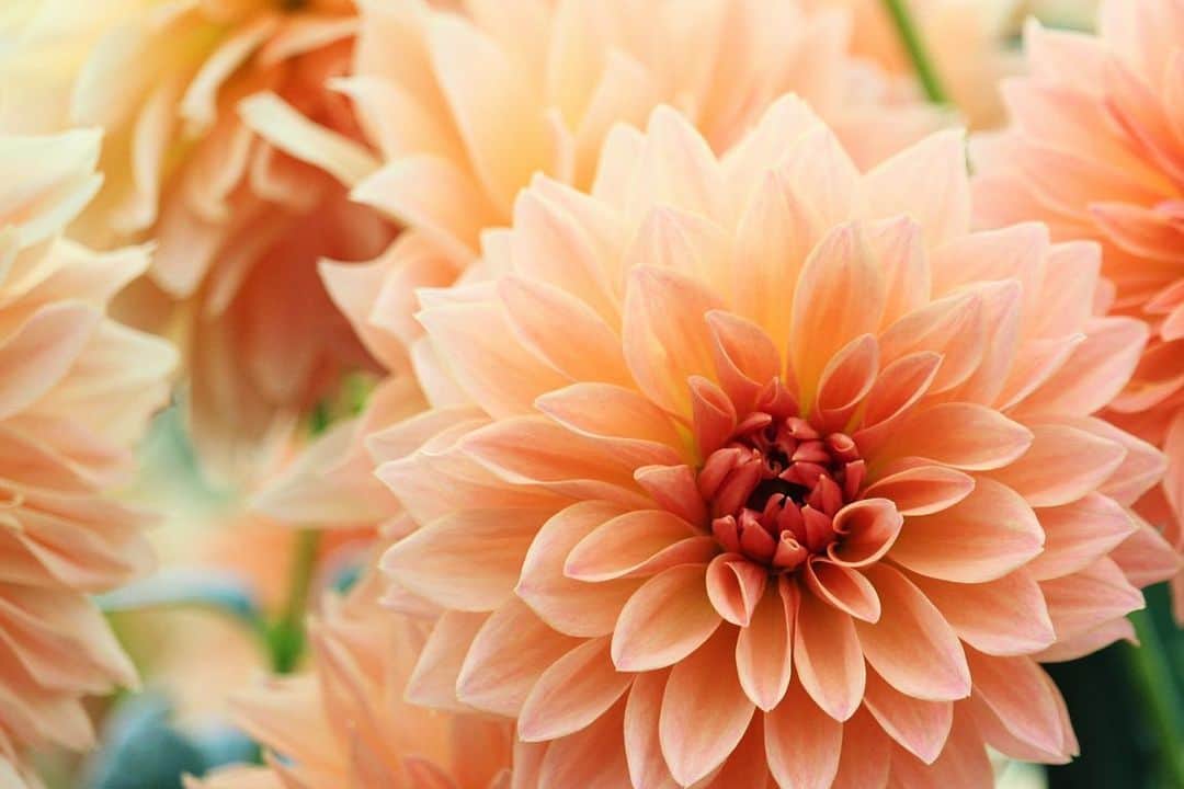 shin_goのグルメインスタ