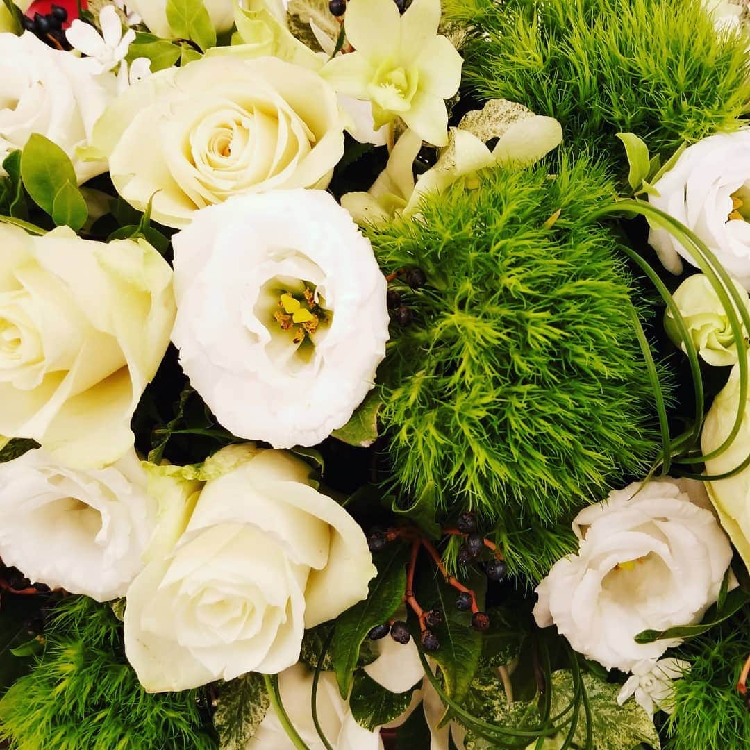ホテルモントレ大阪 ブライダルサロンさんのインスタグラム写真 - (ホテルモントレ大阪 ブライダルサロンInstagram)「先日ご用意させていただいた卓上装花です。黒い水盤にグリーンのてまり草や白い蘭の花が入って和風な感じですが、バラの花も入っていて、洋和どちらの雰囲気も持っている装花です。洋装、和装どちらのお衣裳にも合いますね！#白#グリーン#てまり草#デンファレ#バラ#利休草#ドレス#和装#色打掛#白無垢#モントレ大阪#梅田#結婚式#プレ花嫁#大阪#ウェディング#アンティーク#ホテル#モントレ#wedding」10月23日 17時15分 - monterey_osaka