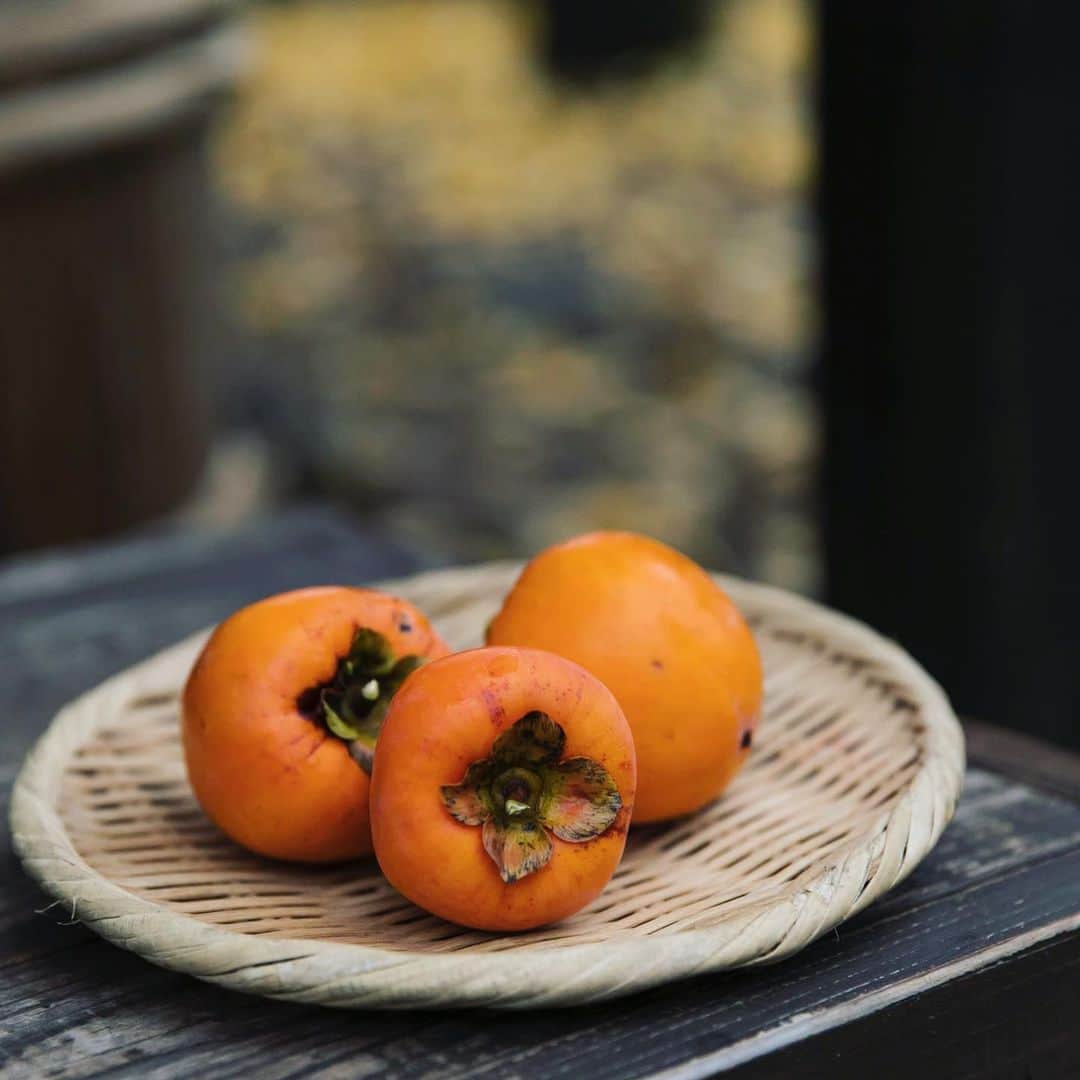 のインスタグラム：「・ 秋の味覚|The taste of autumn  日本には、柿の登場する昔話がたくさんあります。 In Japan, there are many old tales with persimmon. ・ ・ #秋の味覚 #柿 #秋の江戸 #江戸の風景 #日本の風景 #江戸時代 #江戸ワンダーランド日光江戸村 #江戸ワンダーランド #日光江戸村 #日光 #江戸 #いざ江戸へドロン #persimmon #japaneseautumn #edoera #ig_japan #edo #beautifuljapan #japanese_history #instagramjapan #jp_gallery #edowonderland #nikko #japan #edo」