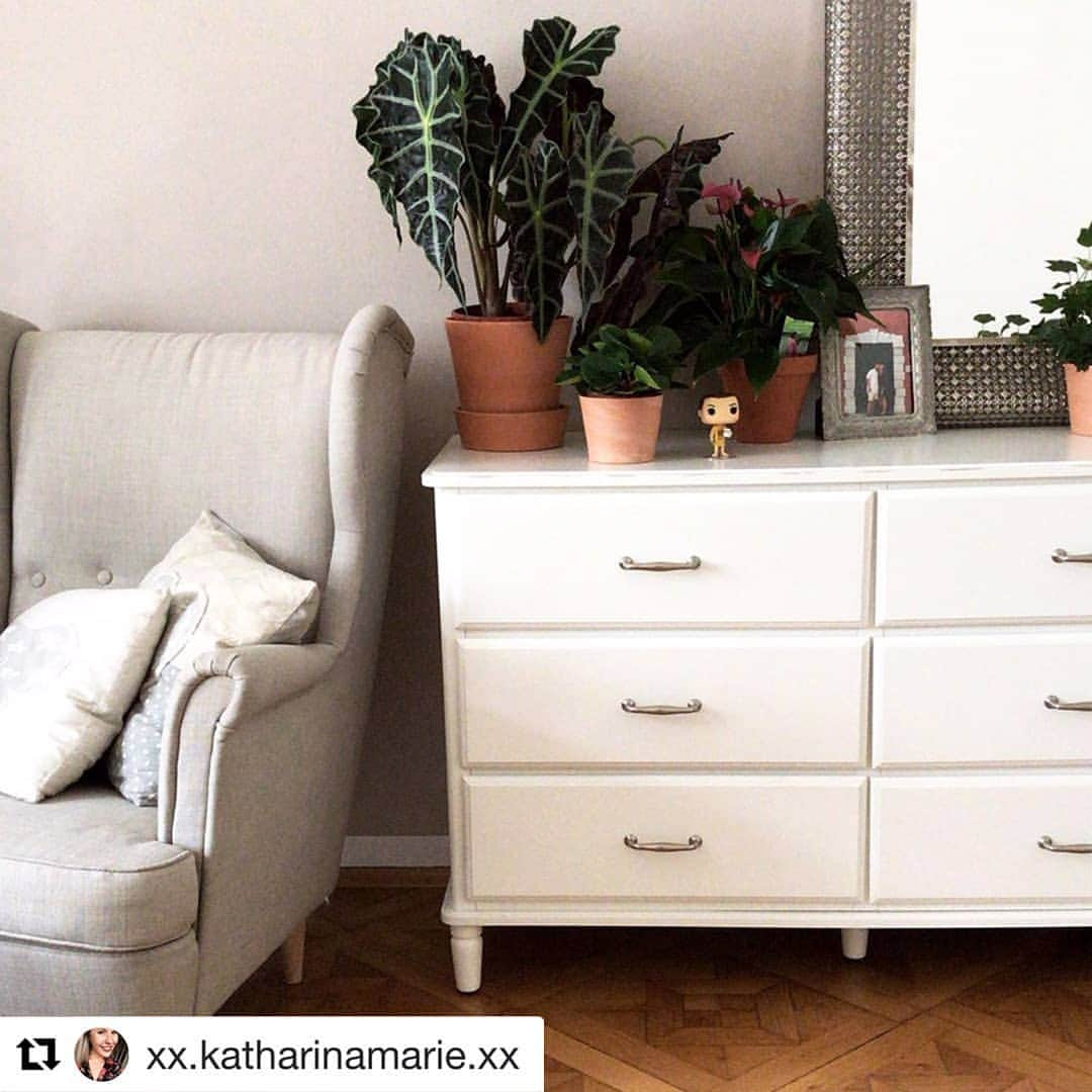 IKEA Austriaさんのインスタグラム写真 - (IKEA AustriaInstagram)「Wenn draußen alles grau wird, macht es sich @xx.katharinamarie.xx eben drinnen gemütlich. 🛋 Was ist deine liebste Herbstbeschäftigung? 🍂😊 #IKEAat #Regram // TYSSEDAL Kommode mit 6 Schubladen, weiß, 127x81 cm € 229,-」10月23日 17時29分 - ikeaaustria