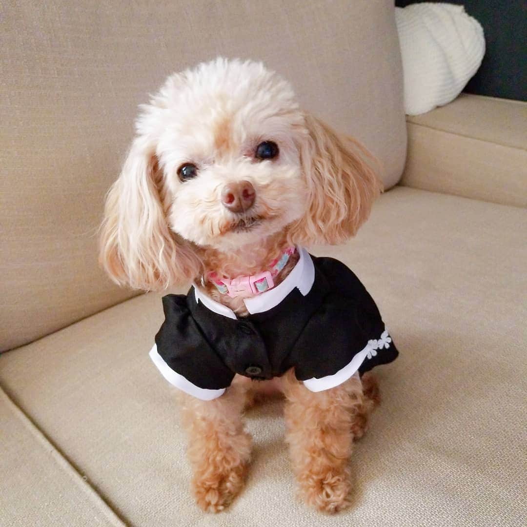 池田夏希のインスタグラム