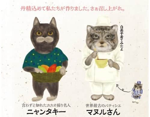 ねこのインスタグラム