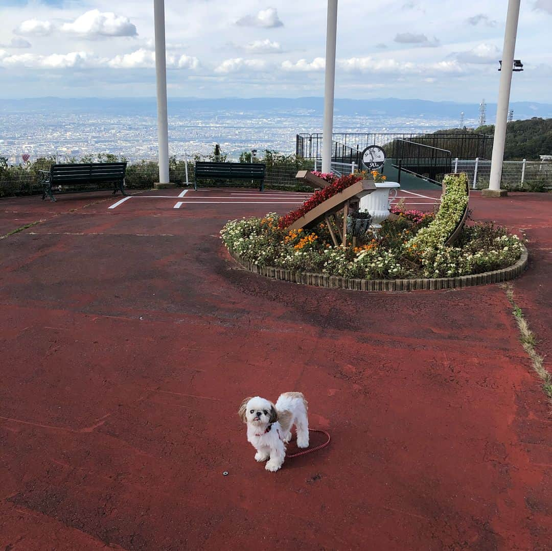 いりこさんのインスタグラム写真 - (いりこInstagram)「生駒山上遊園地🎡🎢 娘と夫はフリーパスを買ってお化け屋敷以外全部乗りまくり、私といりこはのんびり見守る係。お天気もいいし気持ちよかった。」10月23日 17時51分 - hana_uoj