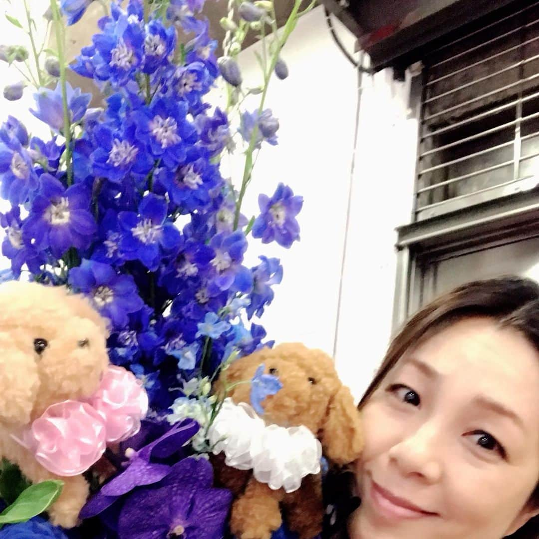 井上貴子さんのインスタグラム写真 - (井上貴子Instagram)「神田明神のメインの時 花束をもらったのだけど。  なんと！ 花の中にプードルちゃんが 2人居たよーー♡  しかも アタシの好きな ブルーローズ！ (株)FDきむらさんの作品^ ^  イベントに 華を添えてくれました。  今自宅にて飾ってあるよぉ。  そしてぬいぐるみ達は べにひおのオモチャになった。  Happyで^ ^  #井上貴子  #LLPWX #女子プロレス #紅緒と柊音 #トイプードル #神田明神 #花束 #株式会社FDきむら #ぬいぐるみ」10月23日 17時56分 - takaco_inoue