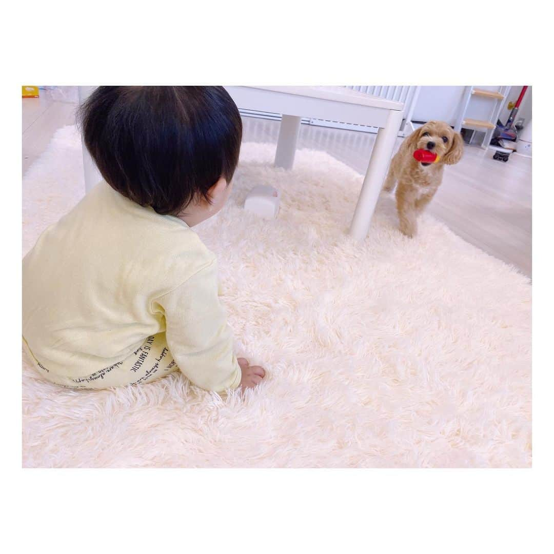 辻希美さんのインスタグラム写真 - (辻希美Instagram)「可愛い過ぎる2人⁇☺️💕 ヤバイ‼️ #クックと幸空 #癒し #かわぇぇ #いいコンビ #幸空はクックが大丈夫 #☺️💕」10月23日 17時59分 - tsujinozomi_official