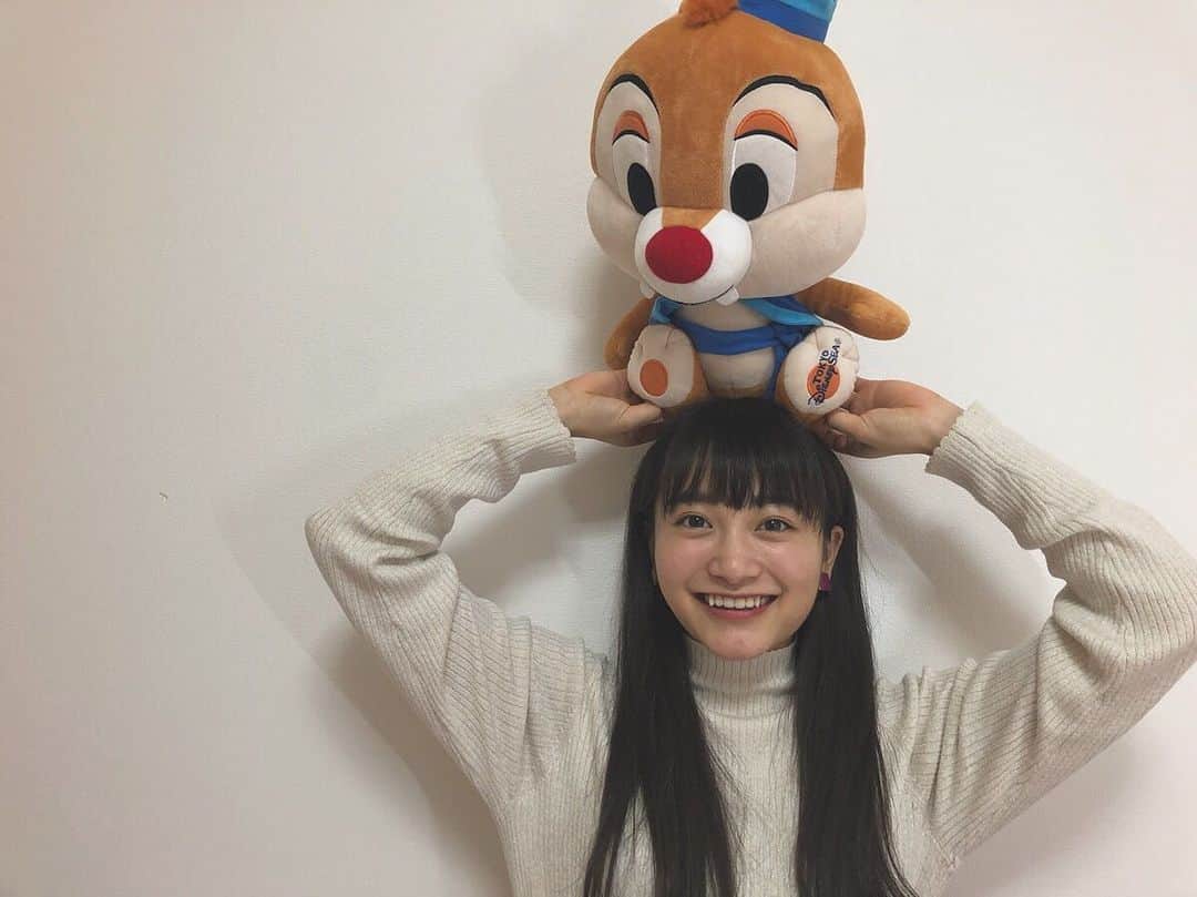 福田愛依さんのインスタグラム写真 - (福田愛依Instagram)「ぴぴ家のぬいぐるみ🧸♡ 今日もヘルシー鍋パしてます☺︎ 楽しい！！！😆✨」10月23日 18時11分 - meii_cheer