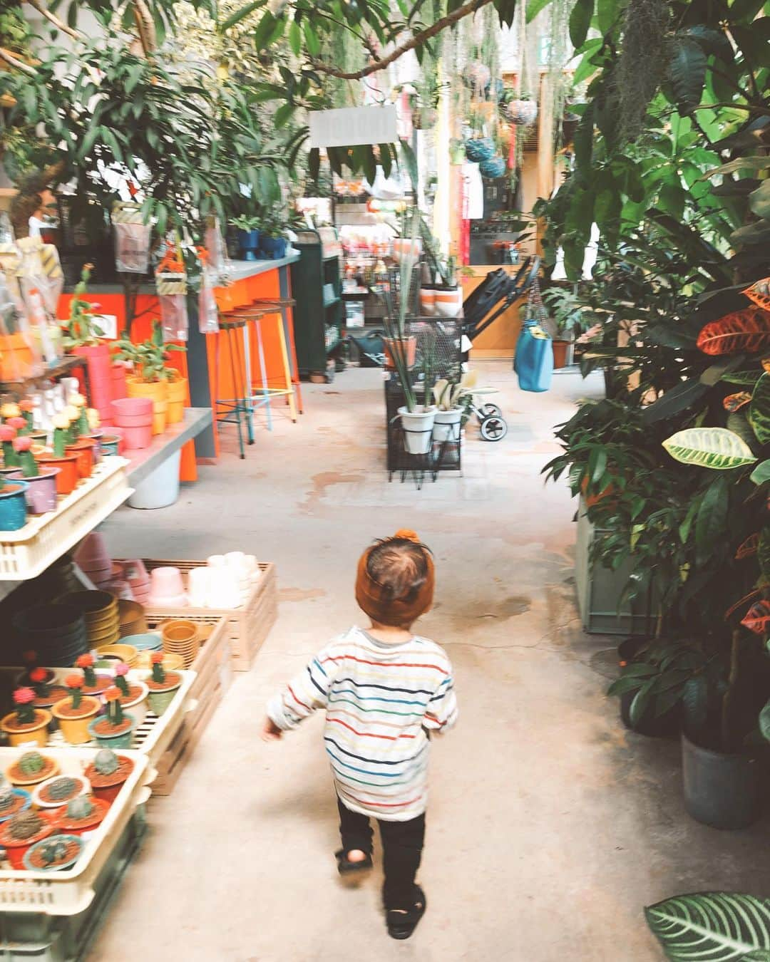 EMILY/BLUEさんのインスタグラム写真 - (EMILY/BLUEInstagram)「最近は基本小走りw よーーーぃどんっ🏃🏻‍♂️💨💨💨 #ootd #zarakids #zara #fashion #カジュアルコーデ #コーディネート #キッズコーデ #本日のシンシン #1才3ヶ月 #男の子コーデ」10月23日 19時52分 - emilybluejewelry0220