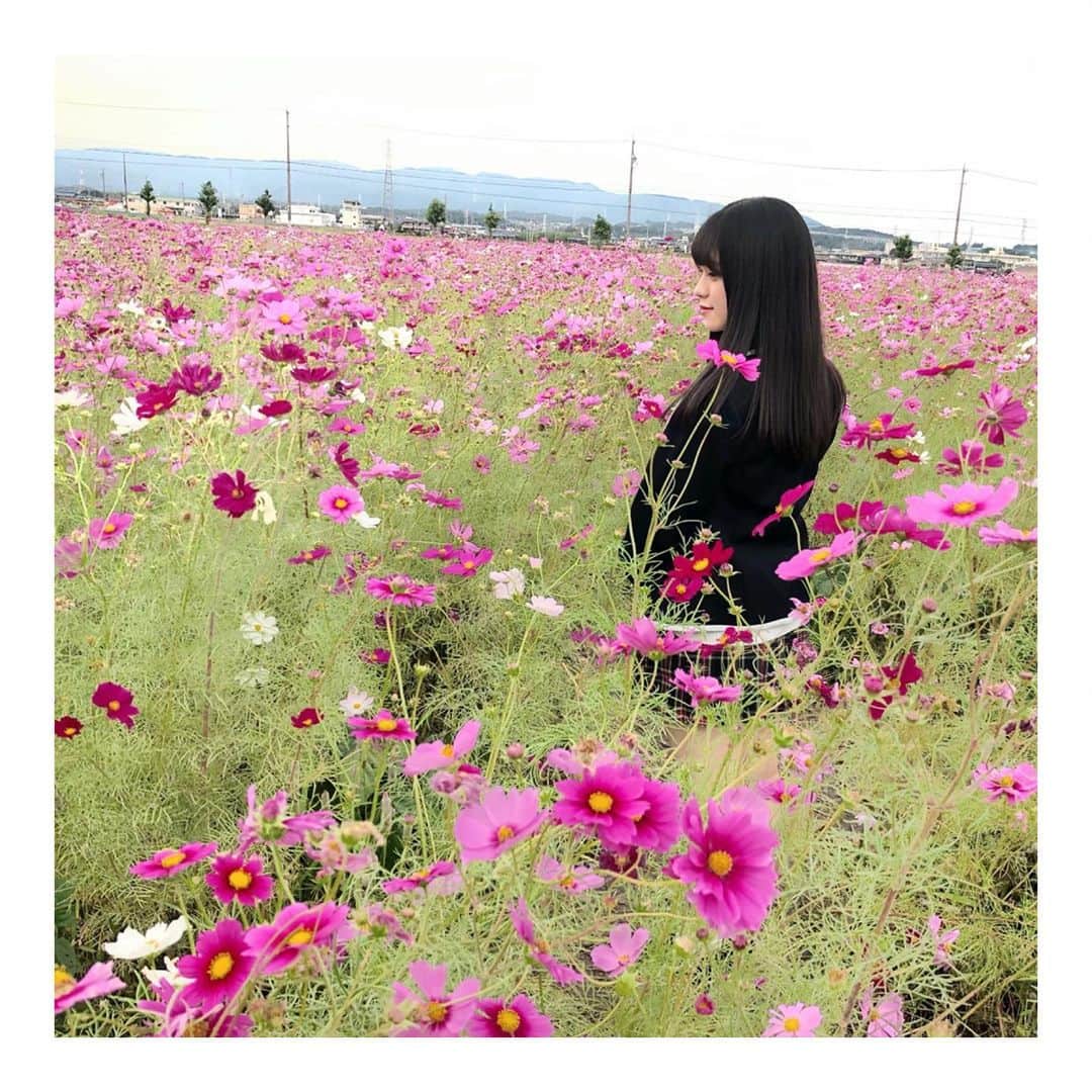 竹内彩姫さんのインスタグラム写真 - (竹内彩姫Instagram)「． ． #SKE48は君と歌いたい ． #COSMOS #三重県 #東員町」10月23日 20時12分 - takeuchisaki_1124