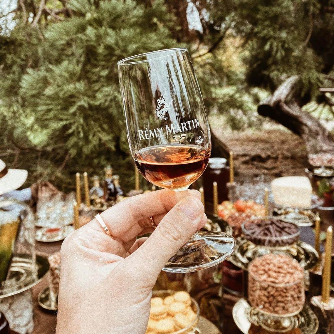 三浦大地さんのインスタグラム写真 - (三浦大地Instagram)「今回はこのガラスボトルが有名なコニャック RÉMY MARTINが開催するヴェルサイユ宮殿を貸しきってのパーティーに招待頂きました。  レミーマルタンは熟成されたオーク樽の豊潤な香りがグラスから溢れてきます。  オススメされて気に入ったのはパルメザンチーズと一緒に楽しむ飲み方。  ヴェルサイユの庭でレミーマルタンを頂くというなんとも贅沢な午後。  ラベルにケンタウロスがいるのは 創業者の3代目が射手座だったから。  俺も射手座。  @remymartin  #remymartin #chateaudeversailles  #teamupforexcellence」10月23日 21時09分 - daichi_1127