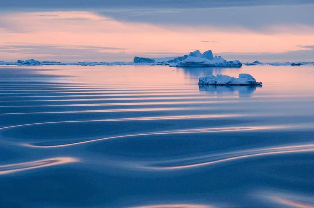 National Geographic Travelさんのインスタグラム写真 - (National Geographic TravelInstagram)「Photo by @DaisyGilardini | There are only a few places left on Earth where you can be totally cut off from the hysteria of our “civilized” world. Antarctica is one of these places. Your heart and soul can find refreshed energy simply by being there in the present, totally mesmerized by nature’s beauty. Follow me @DaisyGilardini for more images and stories behind the scenes. #Antarctica #solitude #icebergs」10月23日 21時08分 - natgeotravel