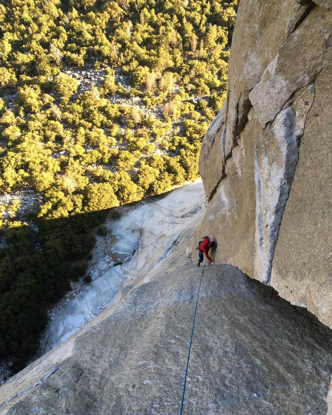 アレックス・オノルドのインスタグラム：「I’ve been playing around up on El Cap with @tommycaldwell, @kjorgeson and @austin_siadak recently. This is Tommy styling one of many 5.13 corners, though this one was originally freed by @leo_houlding 20 years ago. Good times back on the wall...」
