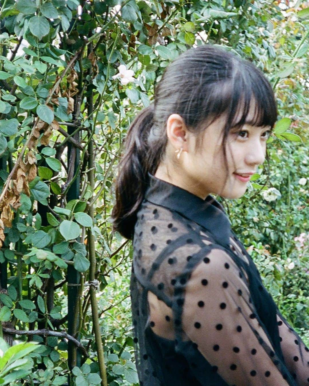 谷藤海咲さんのインスタグラム写真 - (谷藤海咲Instagram)「フィルムの世界  #film #filmphotography  #idol #camera」10月23日 22時01分 - tanifuji_misaki