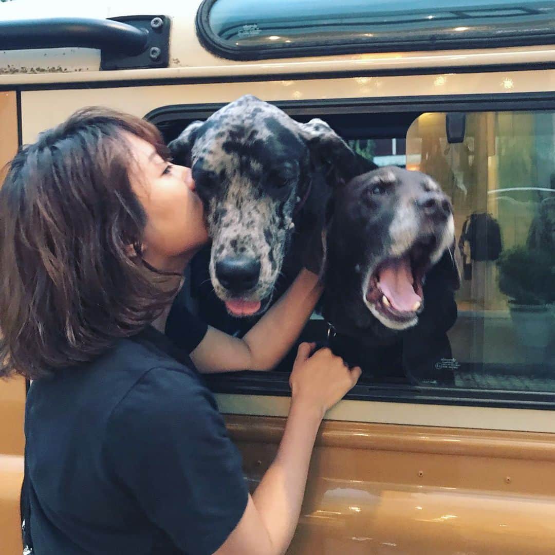 風間ゆみえのインスタグラム：「Bombon to TENT 💙❤️」