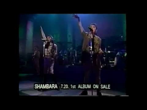 荒井 結生 Yuki Araiのインスタグラム：「SOLID DANCE / SHAMBARA 向かって右が国分友里恵、左が秋元薫という強力ツイルボーカルに、CASIOPEAのベース・櫻井哲夫とドラム・神保彰という鉄壁のリズム隊‼︎ しかし、この活動が発端となりCASIOPEAが分裂してしまうという…… わずか活動期間約1年もなかったというなんともレアなバンドです。 ちなみにヴィジュアル・プロデューサーは山本寛斎。」