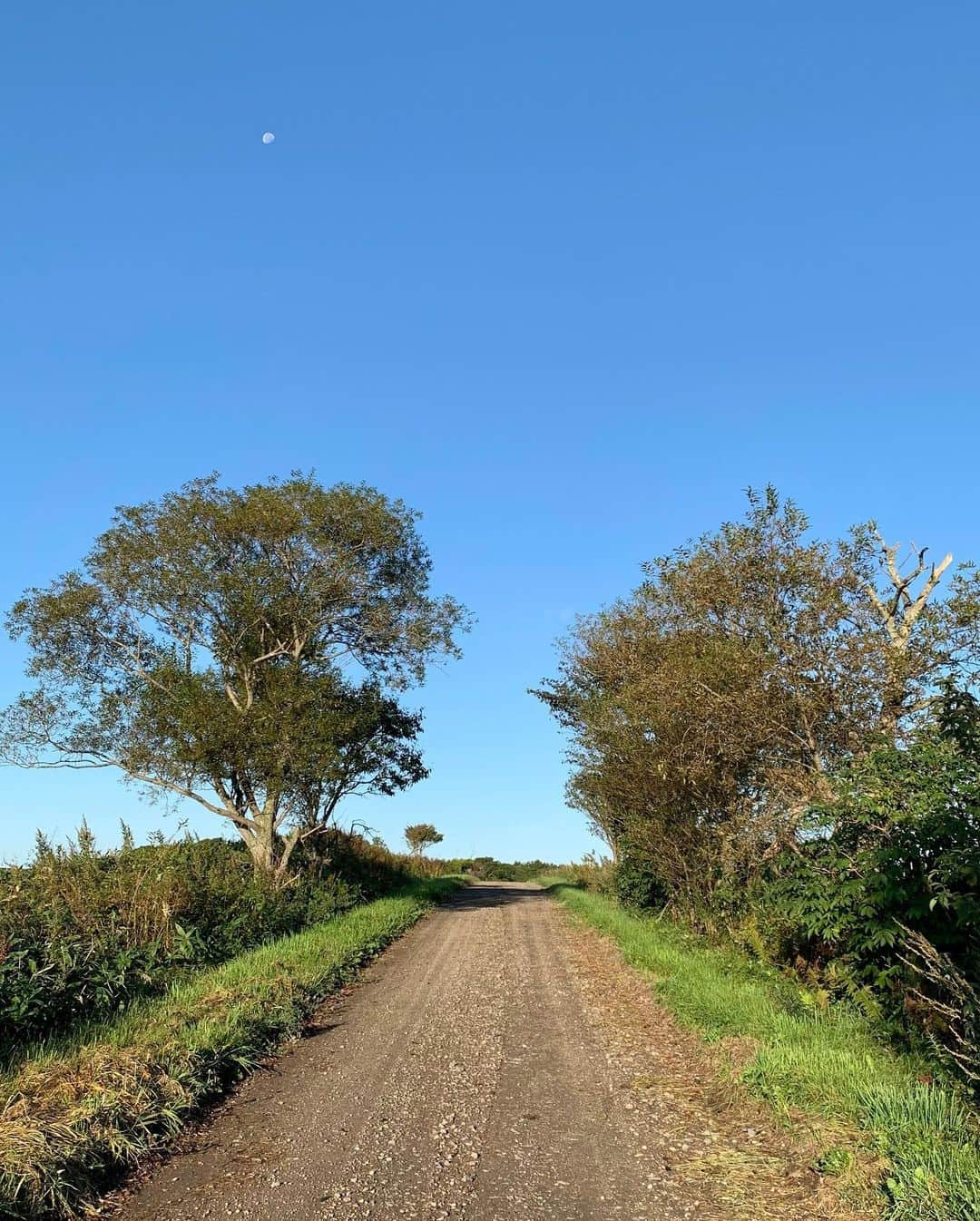 奈良美智さんのインスタグラム写真 - (奈良美智Instagram)「memories of URRI FARM  September 2019」10月24日 0時02分 - michinara3