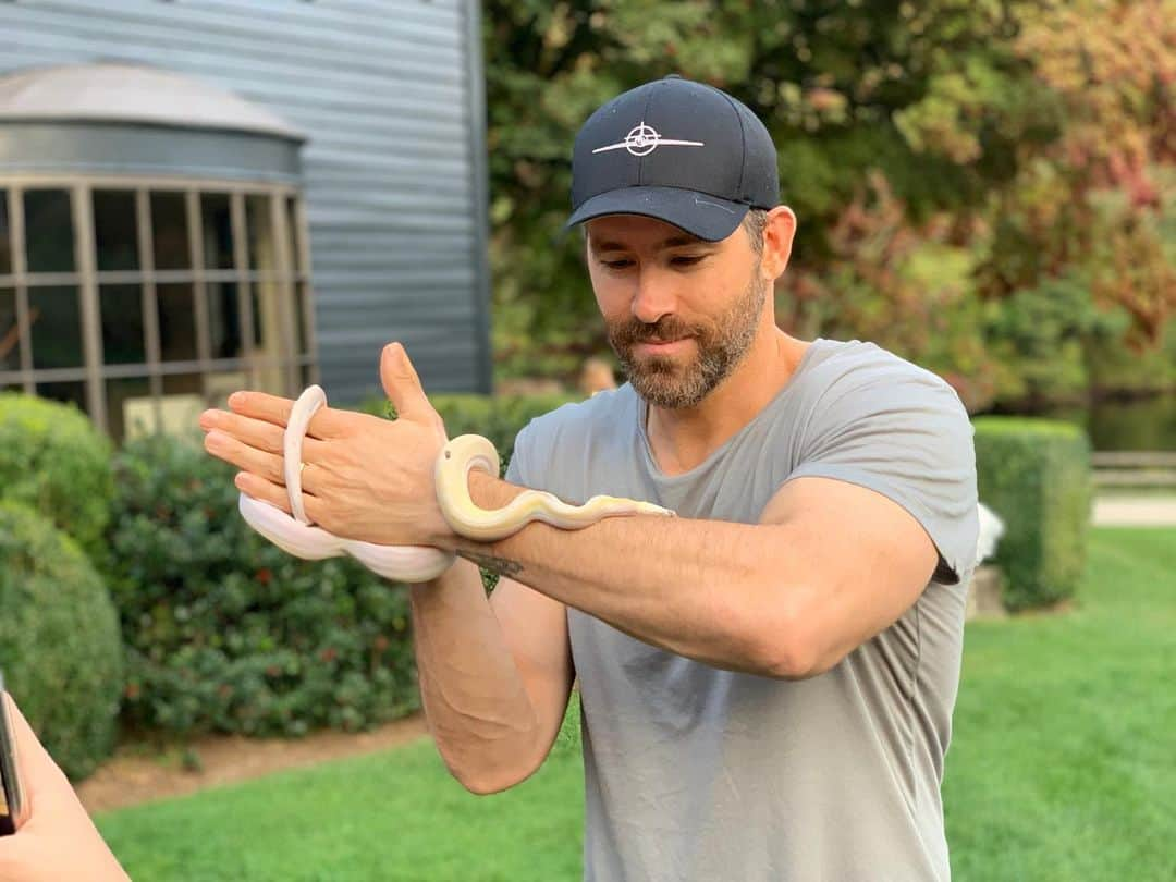 ライアン・レイノルズさんのインスタグラム写真 - (ライアン・レイノルズInstagram)「Visiting with Chris and his  @animal_embassy rescue sanctuary continues to be an incredible experience. We saw tree frogs, a baby python, chinchillas, an eagle owl and he even brought out a real live John Krasinski, who I got to feed from my hand. @johnkrasinski」9月30日 8時12分 - vancityreynolds