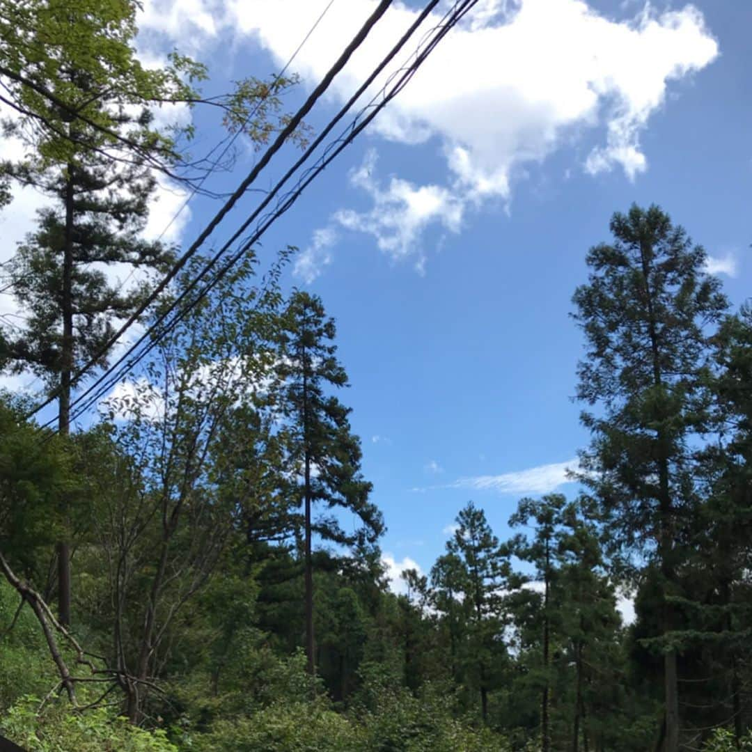 中庄司愛希さんのインスタグラム写真 - (中庄司愛希Instagram)「この前高尾山に登ってきました👟✨ 1号路から登ったよ💓1号路は登山道も舗装されていて、お店もたくさんあるので、楽しみながら登れるよ💕 これからの季節におすすめのお出かけスポット👍💕 #高尾山 #高尾山登山 #山登り #山登り初心者 #高尾山デート #山登りデート #高尾山散策 #秋のお出かけスポット #ゴルフウェア #ゴルフコーデ #jackbunny  #アウトドア #ゴルフ初心者 #ゴルフ女子 #golfgirls #とんとん地蔵 #とんとん地蔵尊 #地蔵 #お地蔵さん #お地蔵様 #お地蔵ポーズ」9月30日 8時17分 - aki_nakashoji_golf