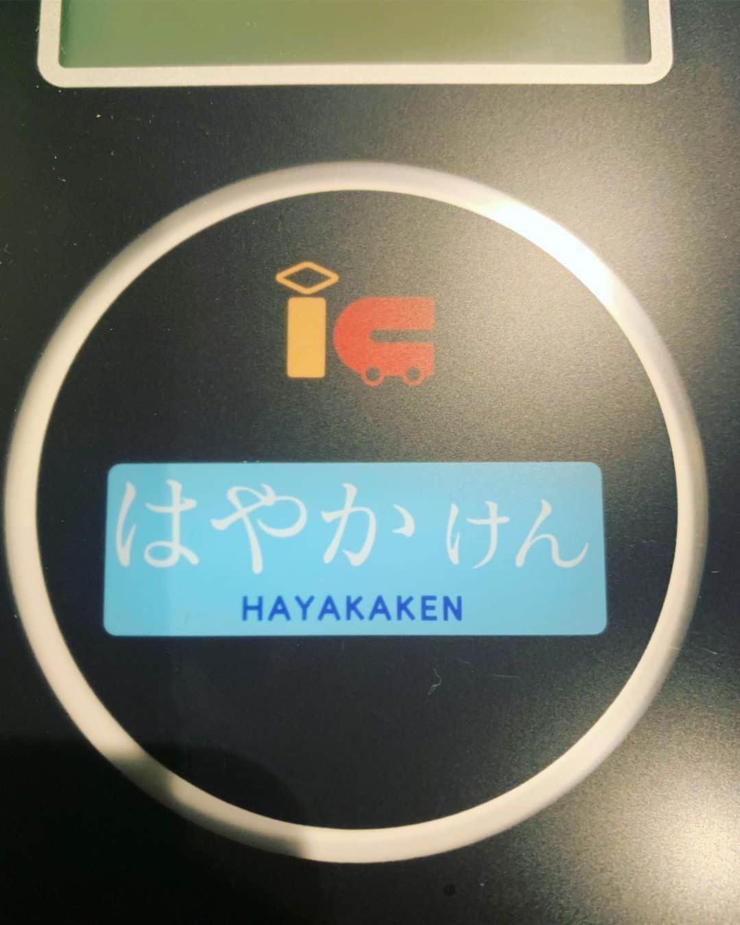 池田莉子さんのインスタグラム写真 - (池田莉子Instagram)「早起きして朝は博多観光●●●﻿ 春にリニューアルしたばかりの福岡市美術館へ﻿ 大きなダリの絵を見て心臓も身体全体もざわざわ。。🦚﻿ ﻿ 彫刻家の戸谷成雄さんの作品もありました！！﻿ 20本程の彫刻された木が真っ白の空間の中にあって﻿ そこには不思議な森が存在していました。﻿ 全て写真禁止なので載せられないのが残念ですが、﻿ 福岡に行く方は是非、行って見て下さい😌﻿ ﻿ 出発前は、しっかり大地のうどんを食べましたー！﻿ ﻿ #hakata #fukuojaartmuseum #udon ﻿ #博多 #大濠公園 #福岡市美術館 #大地のうどん﻿ #ダリ #草間彌生 #戸谷成雄」9月30日 0時26分 - ricoikeda