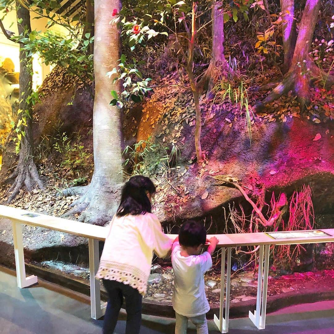 筧沙奈恵さんのインスタグラム写真 - (筧沙奈恵Instagram)「多摩の魅力発信プロジェクト @tamahatsu_official で、子どもたちと郷土の森博物館へ✨ ・ 縄文時代や宿場町として栄えた府中の展示を回って、最後は現在の展示。 ・ 川や森、町中が再現してあって、ネズミやカモ、カラスのレプリカ、昆虫の標本もあり、子どもたちも「すごいすごい！」と大喜びで見ていました🐞 ・ ベンチに座ると、森の中で休憩しているような心地よさでした😌 ・ 博物館を超えたテーマパークのような空間で、親子で大満足でした😍 ・ #多摩の魅力発信プロジェクト #たま発 #tamahatsu #PR  #郷土の森博物館 #子連れお出かけ #府中 #多摩」9月30日 1時16分 - sanaekakei
