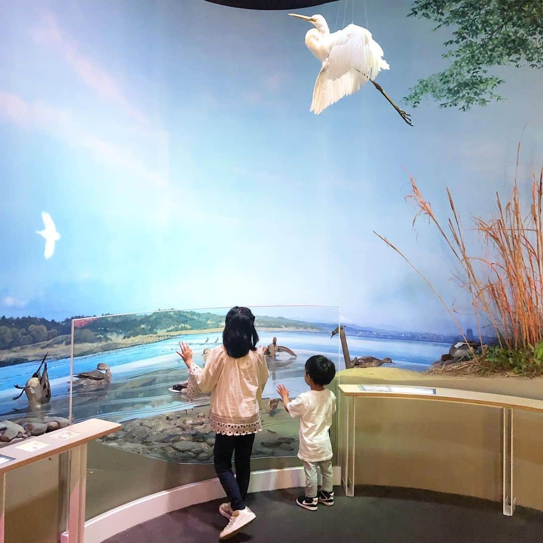 筧沙奈恵さんのインスタグラム写真 - (筧沙奈恵Instagram)「多摩の魅力発信プロジェクト @tamahatsu_official で、子どもたちと郷土の森博物館へ✨ ・ 縄文時代や宿場町として栄えた府中の展示を回って、最後は現在の展示。 ・ 川や森、町中が再現してあって、ネズミやカモ、カラスのレプリカ、昆虫の標本もあり、子どもたちも「すごいすごい！」と大喜びで見ていました🐞 ・ ベンチに座ると、森の中で休憩しているような心地よさでした😌 ・ 博物館を超えたテーマパークのような空間で、親子で大満足でした😍 ・ #多摩の魅力発信プロジェクト #たま発 #tamahatsu #PR  #郷土の森博物館 #子連れお出かけ #府中 #多摩」9月30日 1時16分 - sanaekakei