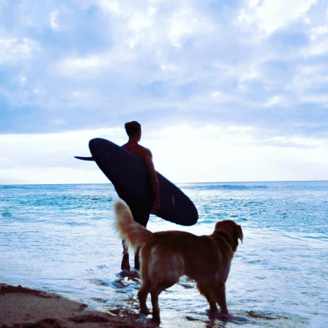 ジェイ・アルヴァリーズさんのインスタグラム写真 - (ジェイ・アルヴァリーズInstagram)9月30日 4時11分 - jayalvarrez