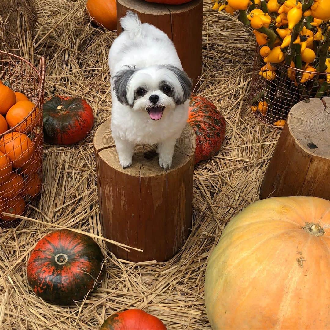 濱田マサルのグルメインスタ