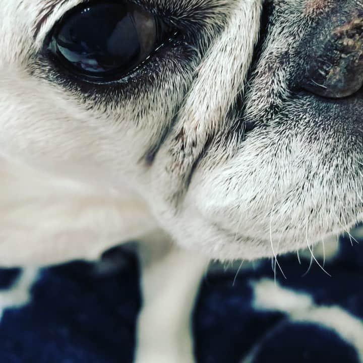 藤田朋子のグルメインスタ